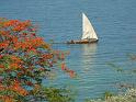 30 - Ankify Traversee